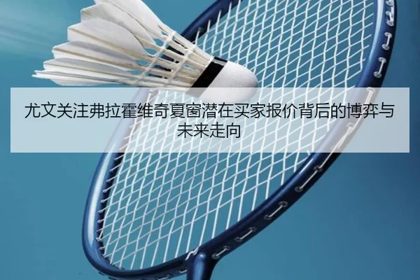 尤文关注弗拉霍维奇夏窗潜在买家报价背后的博弈与未来走向